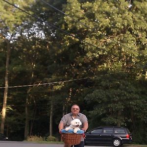 Meet your Posher, Stanley